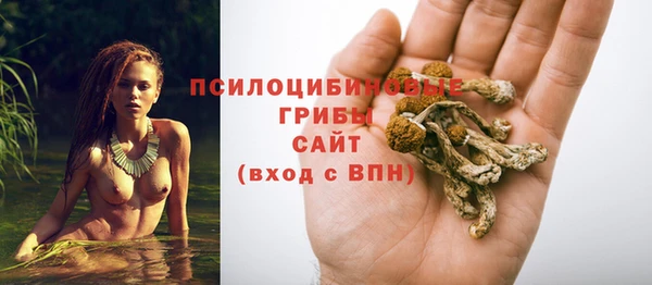 дурь Горнозаводск