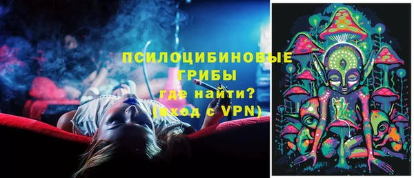 герыч Вяземский