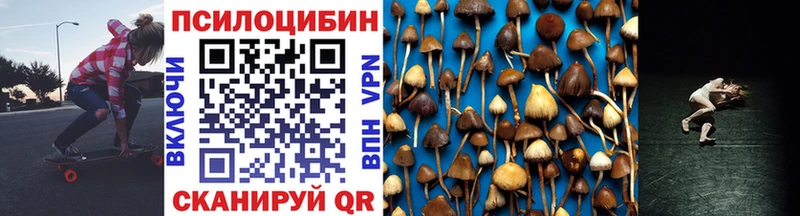 Галлюциногенные грибы Psilocybine cubensis  Купить закладки  Нижние Серги 