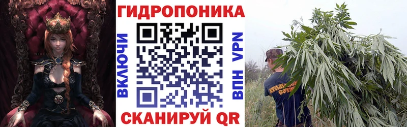 Бошки Шишки конопля  Купить  Нижние Серги 